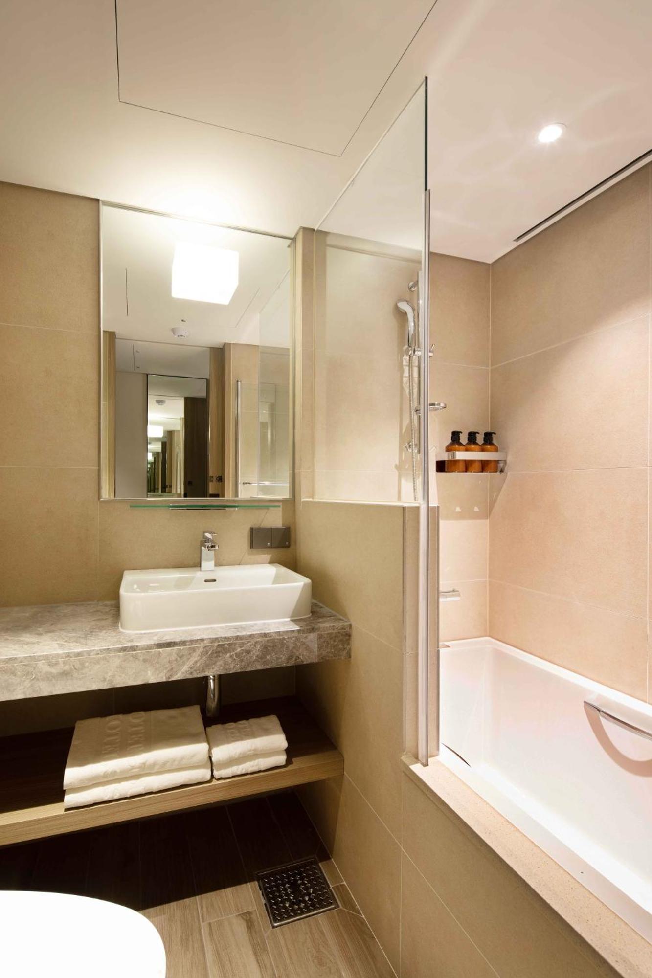 Hotel Sotetsu Fresa Myeong-dong Seul