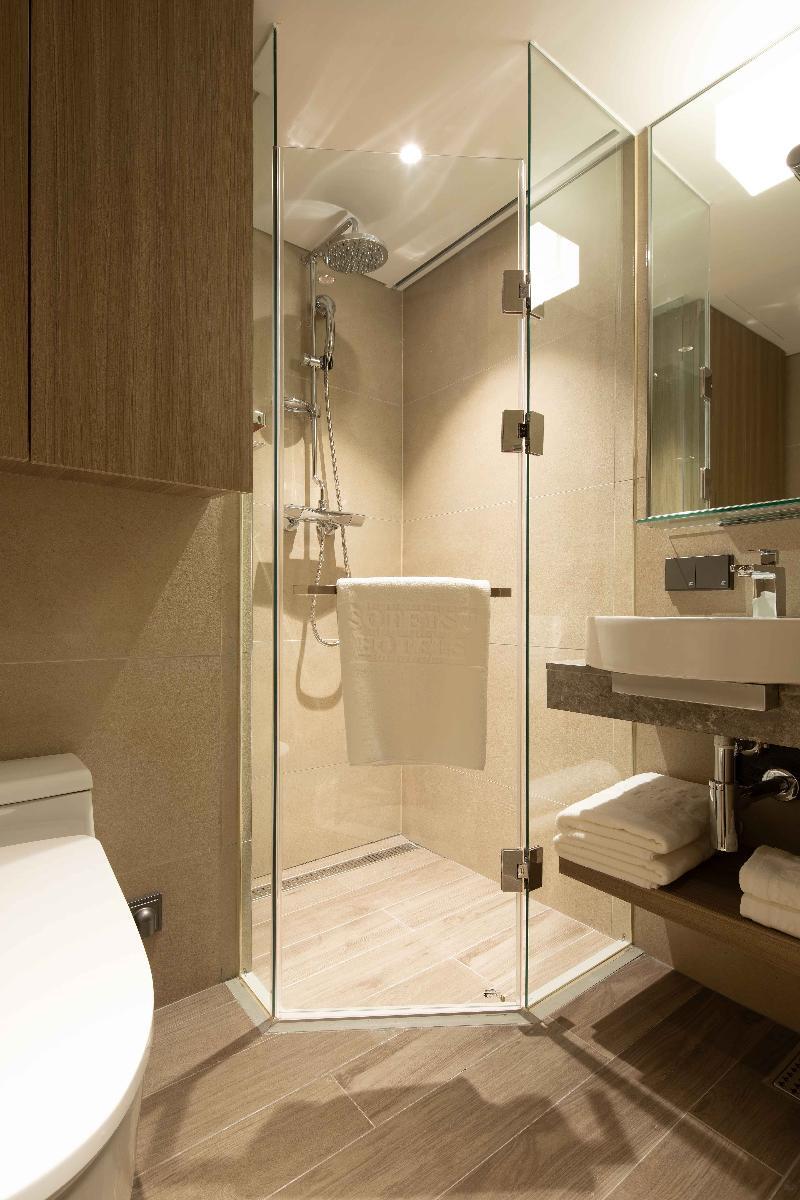Sotetsu Fresa Myeong-dong Hotel Seul